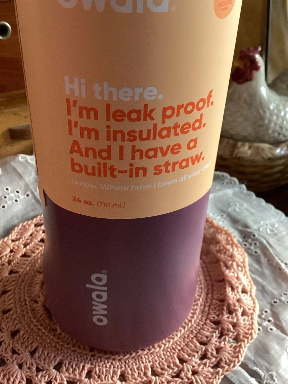 Owala Insulated Bottle — Purple with Pink Accent